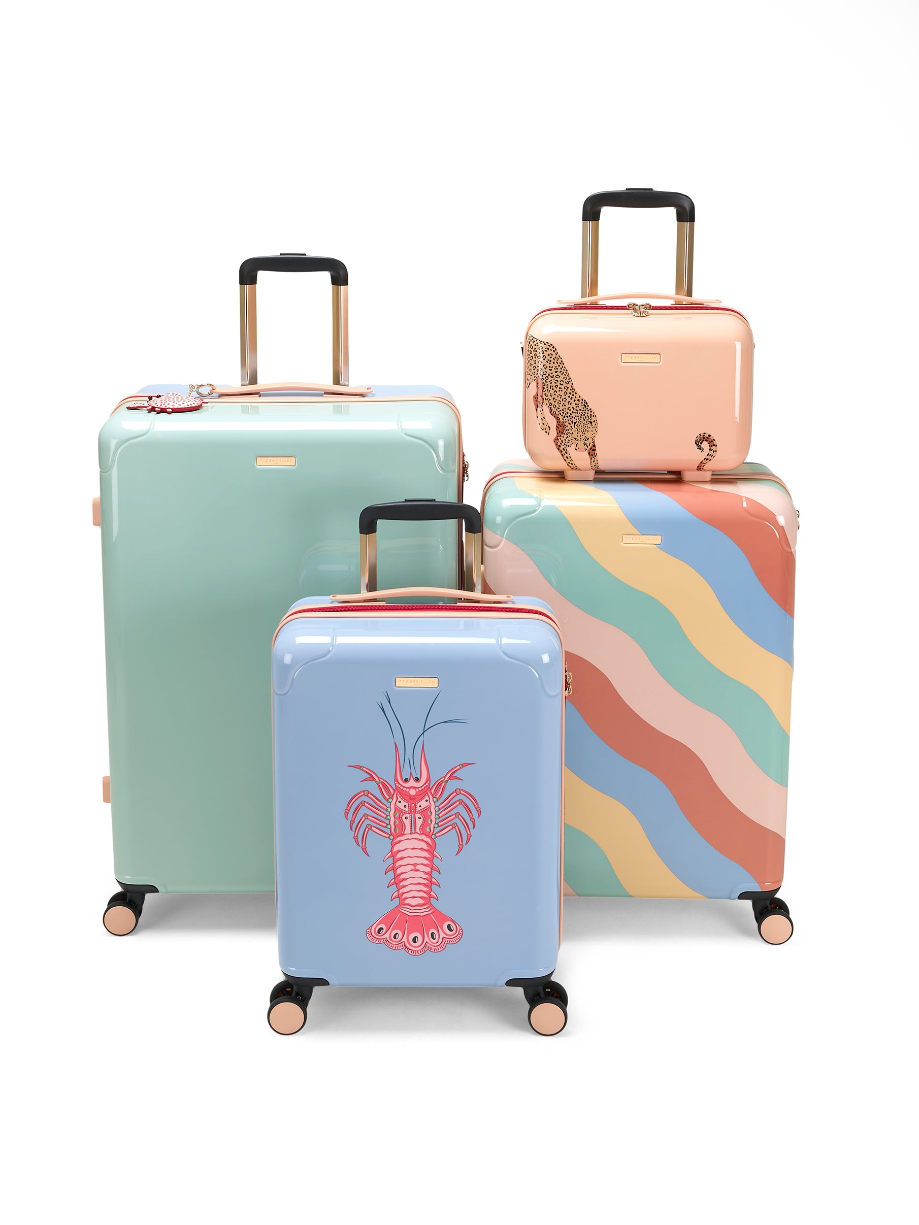 Yvonne Ellen Medium Trolley Spinner Suitcase - Wobble Stripe