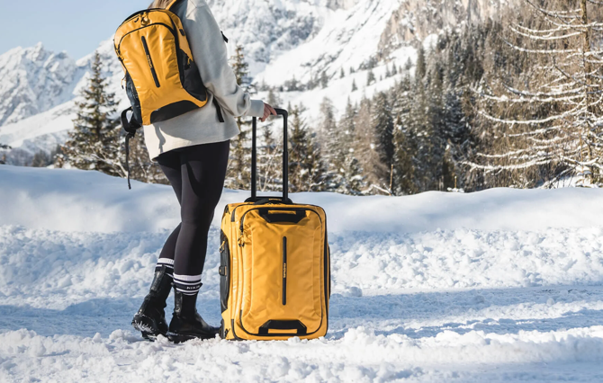winter luggage